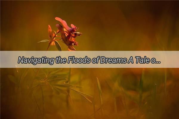 Navigating the Floods of Dreams A Tale of Leeks and Meat in a Nights Delusion